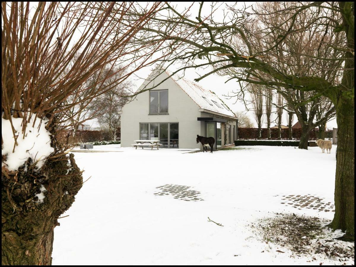 Bed and Breakfast Rooseboom22 Aartrijke Exteriér fotografie