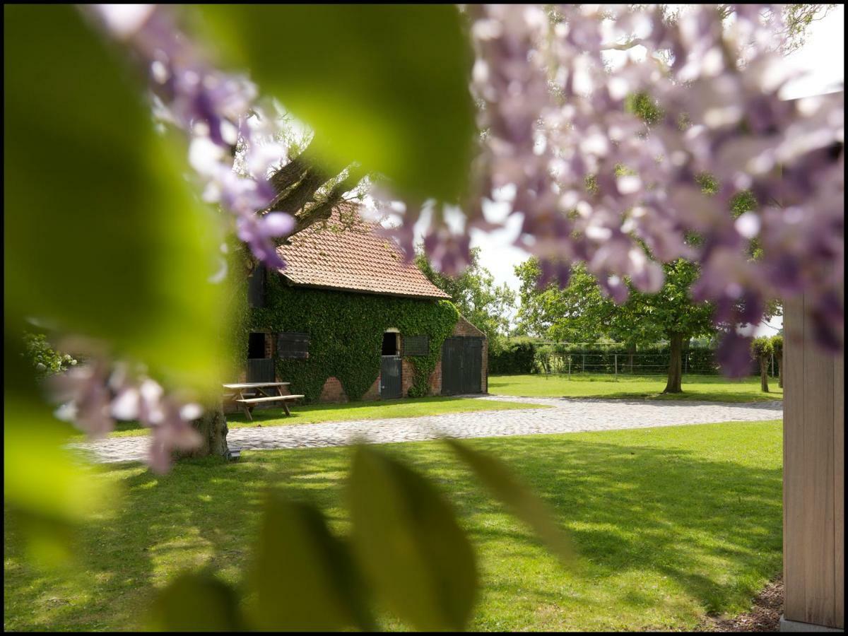 Bed and Breakfast Rooseboom22 Aartrijke Exteriér fotografie